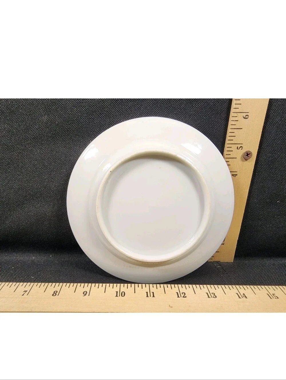 Antique Beyer & Brock Hand Painted Salad Size Plate Flawless Shape Vivid Color